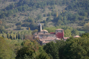 Château de Camon